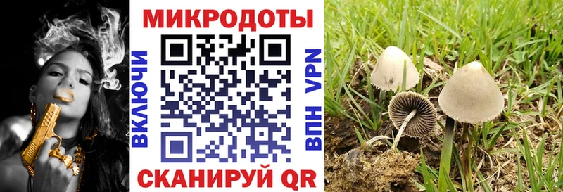 kraken маркетплейс  Коркино  Галлюциногенные грибы мухоморы  продажа наркотиков 